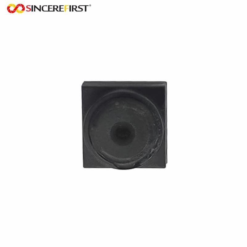 2MP GC2093 Camera Module With 127 Degree Wide Angle Lens MIPI Interface