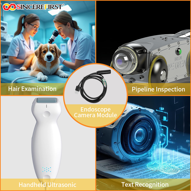 Industrial Medical 12MP Auto-Focus LED Endoscope Camera Module